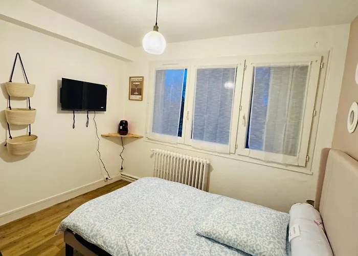 Joli Petit Proche Centre De - Brown アパート *